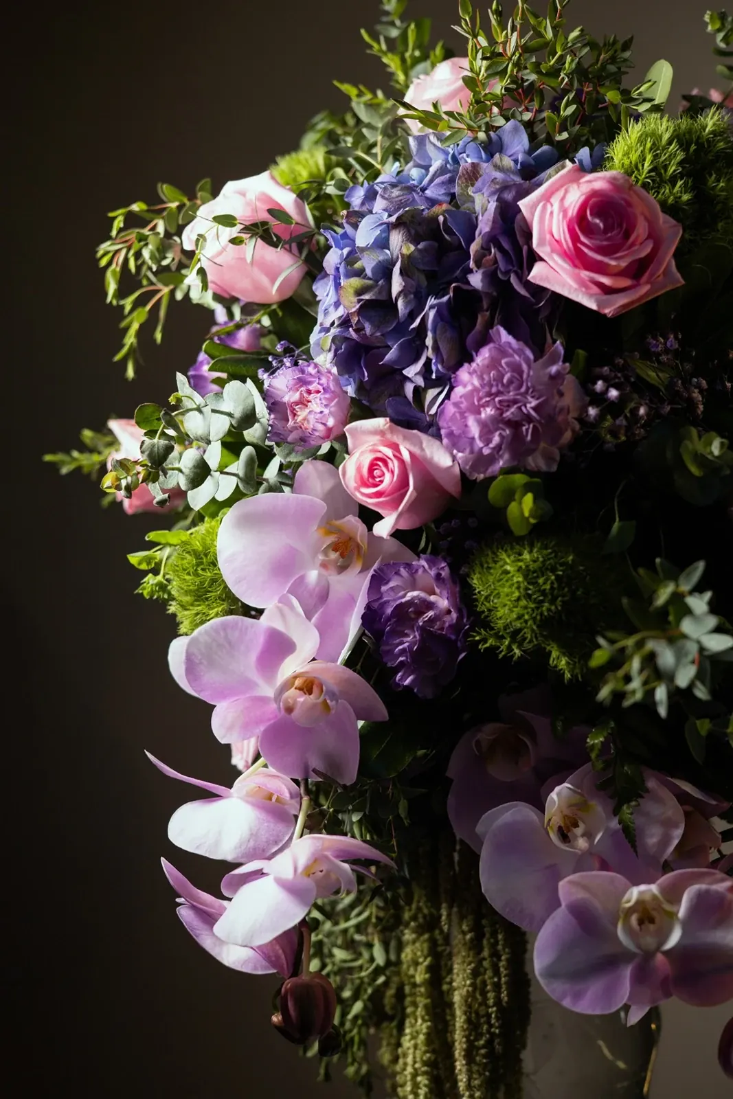 Euforia lavanda · foto 6