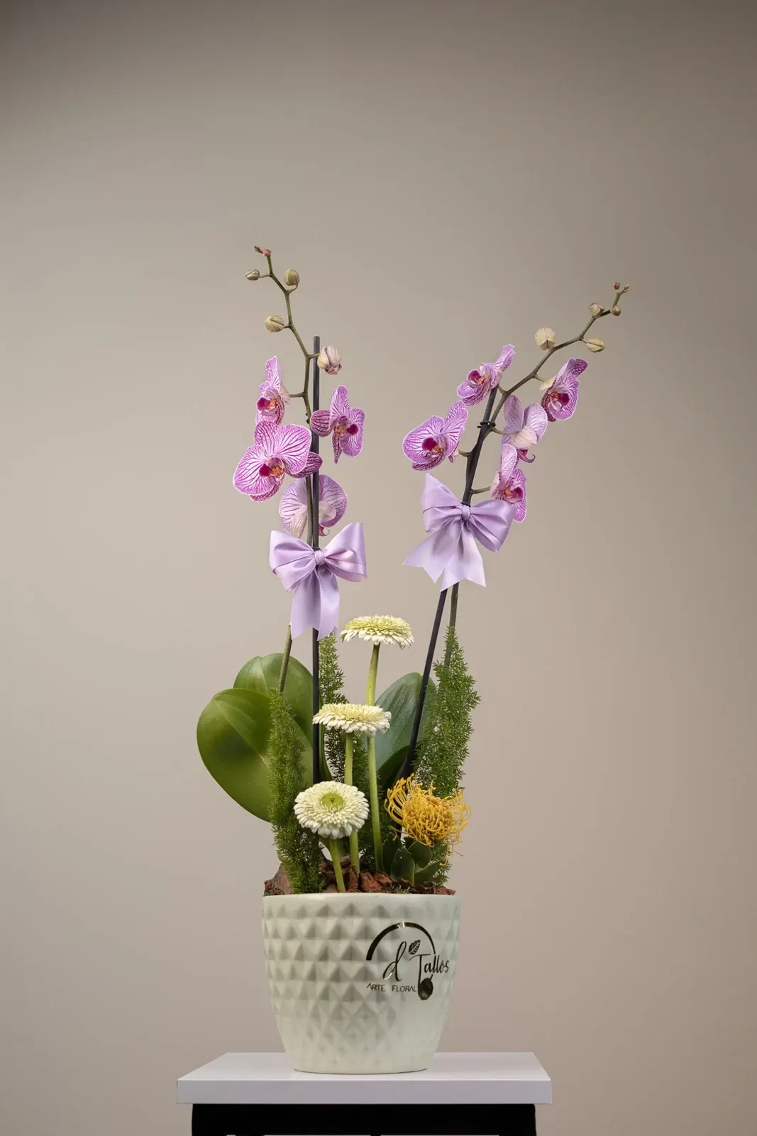 Dúo de Orquídeas