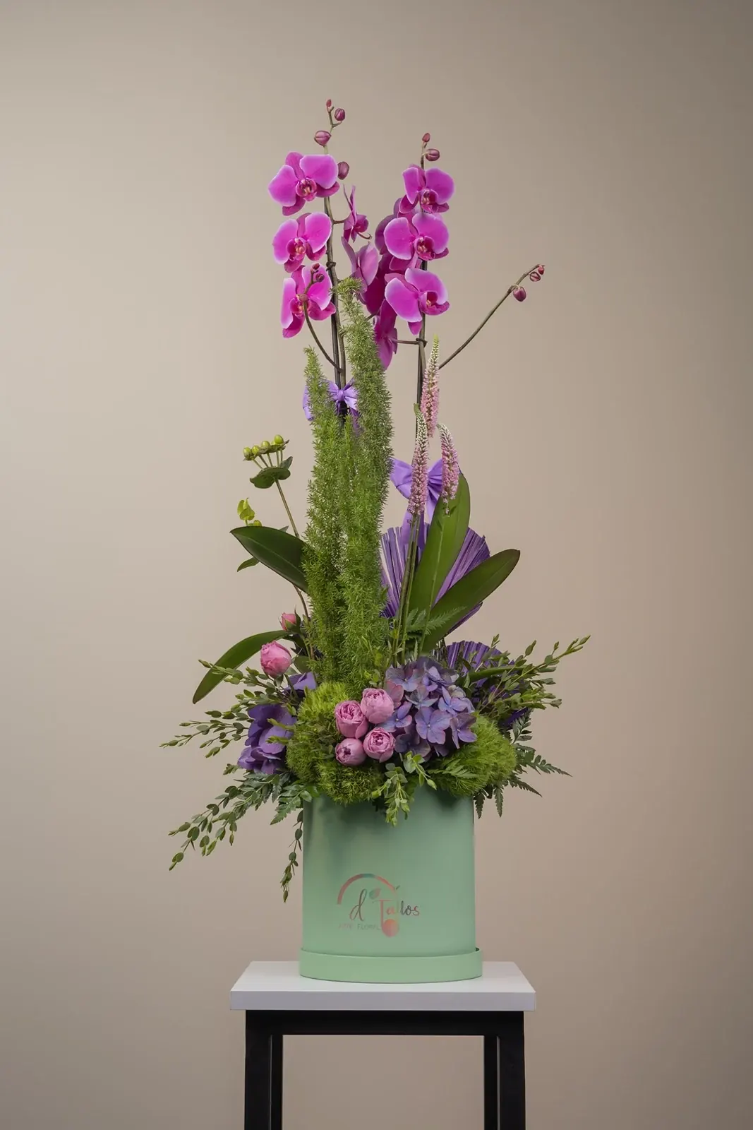Orquídea Real · foto 7