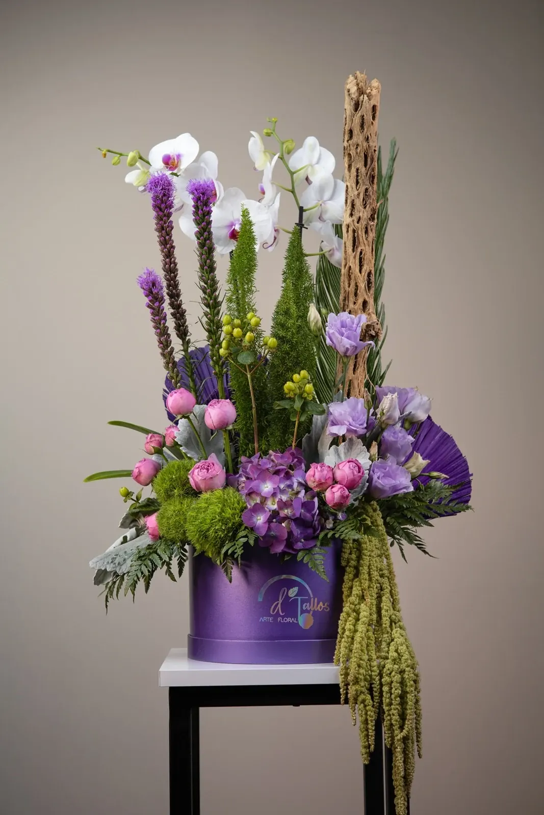 Orquídea Imperial · foto 4