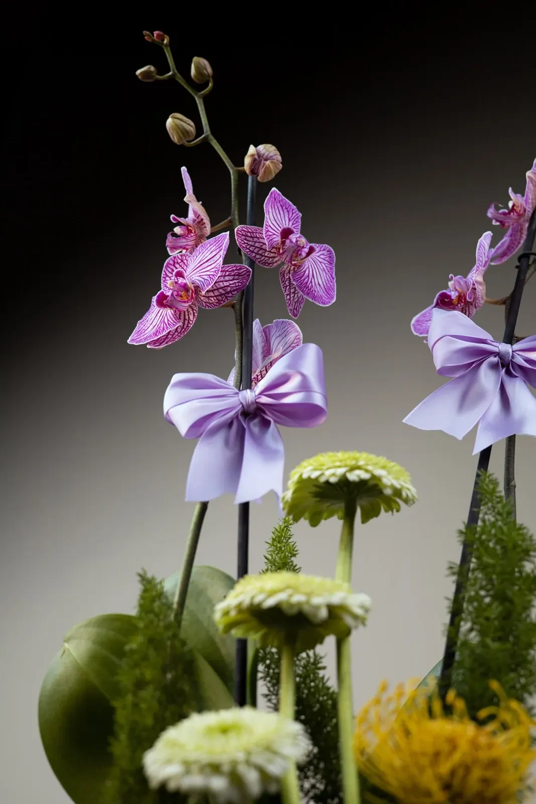 Dúo de Orquídeas · foto 5