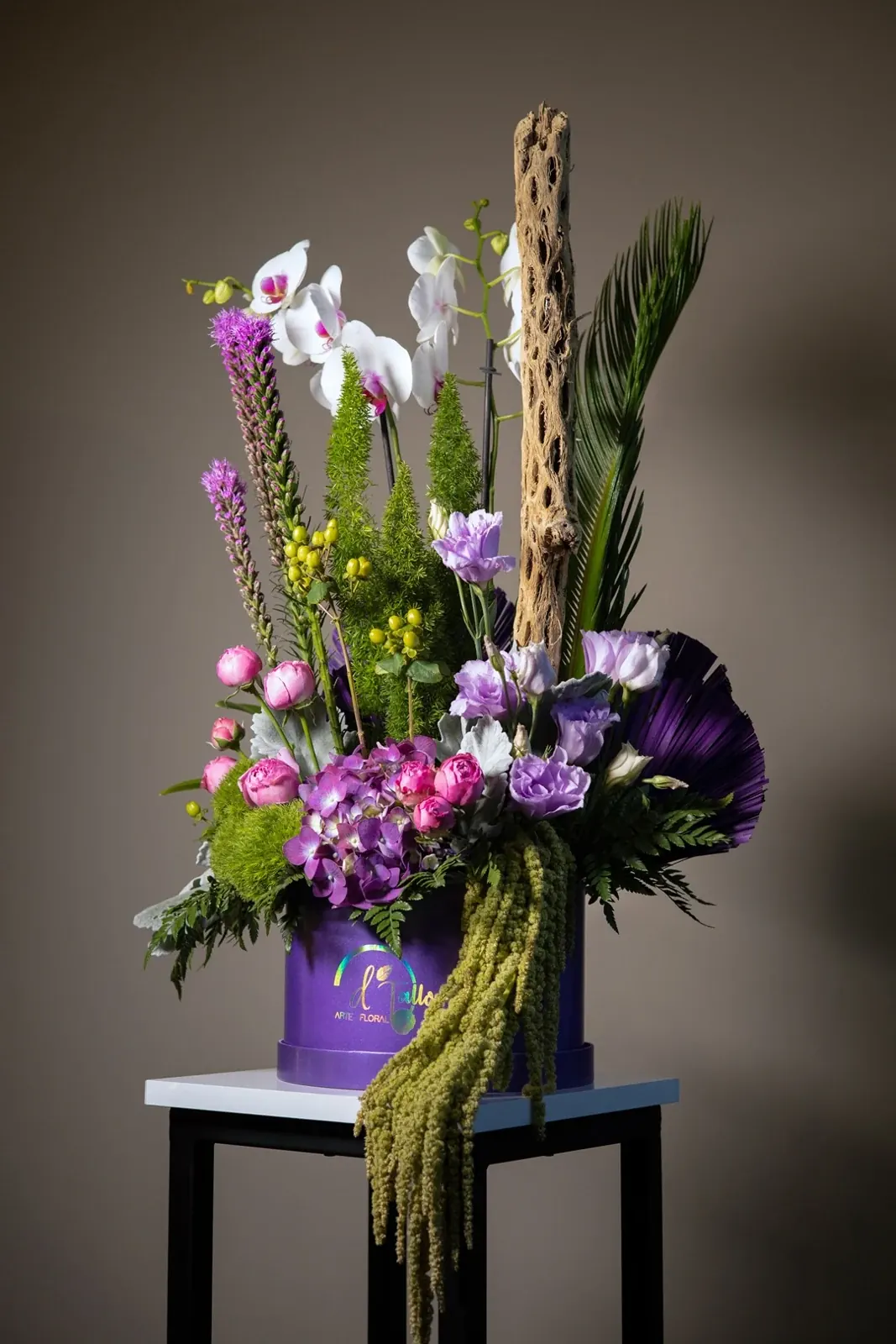 Orquídea Imperial · foto 8