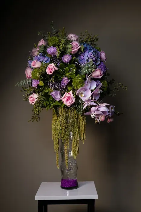Euforia lavanda