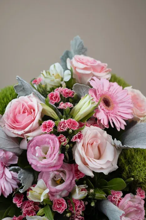 Melodía Floral