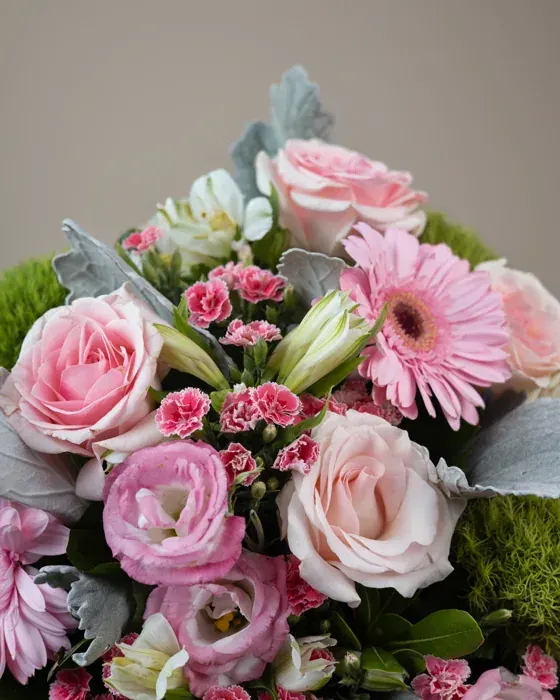 Melodía Floral
