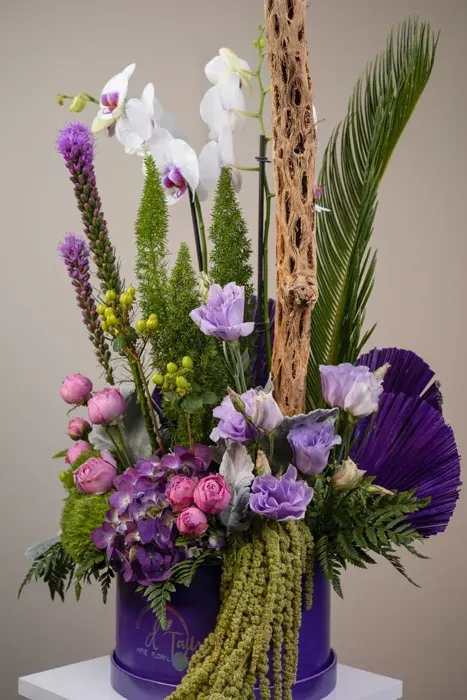 Orquídea Imperial