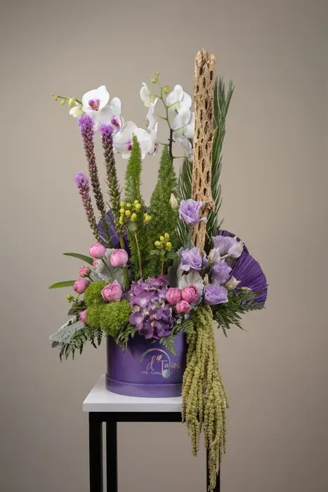 Orquídea Imperial