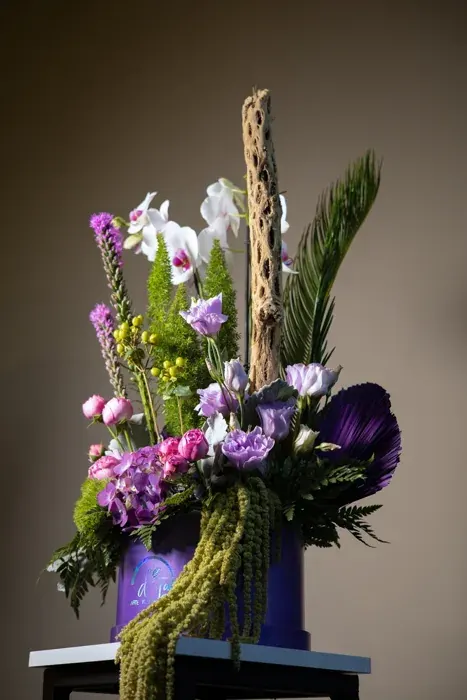 Orquídea Imperial