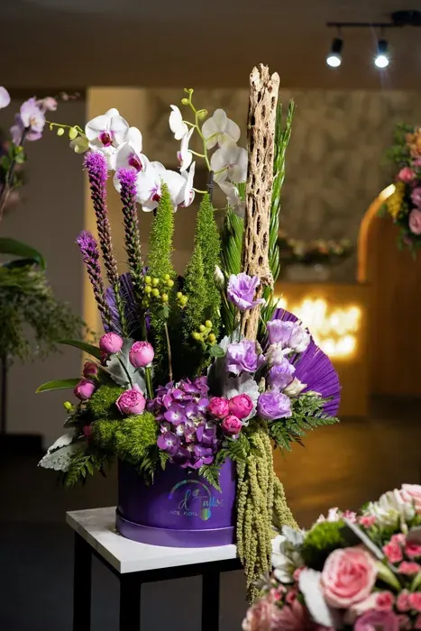Orquídea Imperial