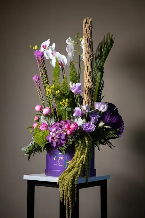 Orquídea Imperial