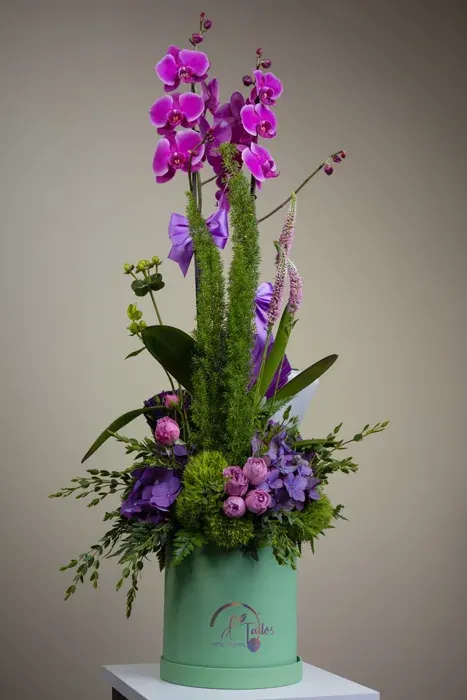 Orquídea Real