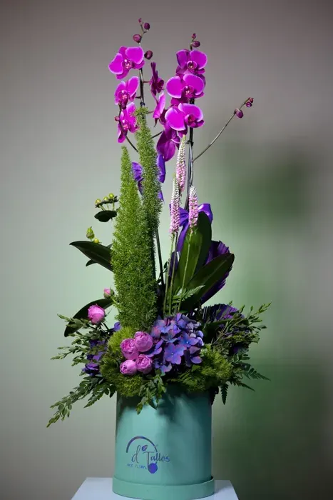 Orquídea Real