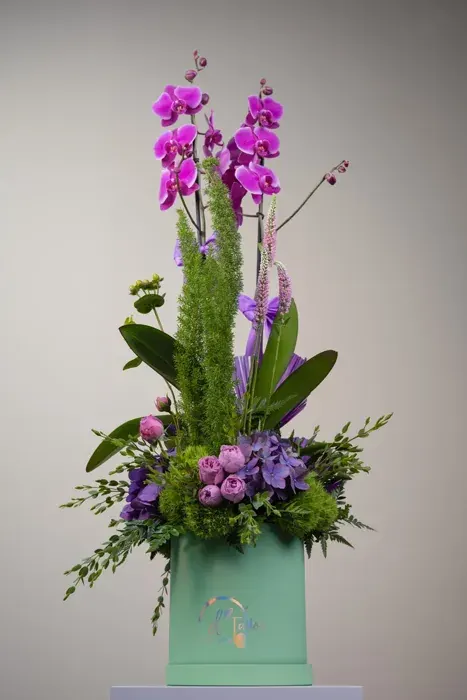 Orquídea Real