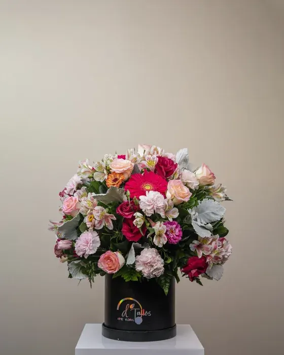 Rosa amanecer