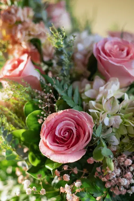 Suspiro rosa