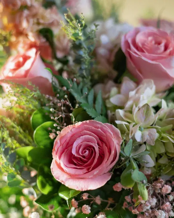 Suspiro rosa