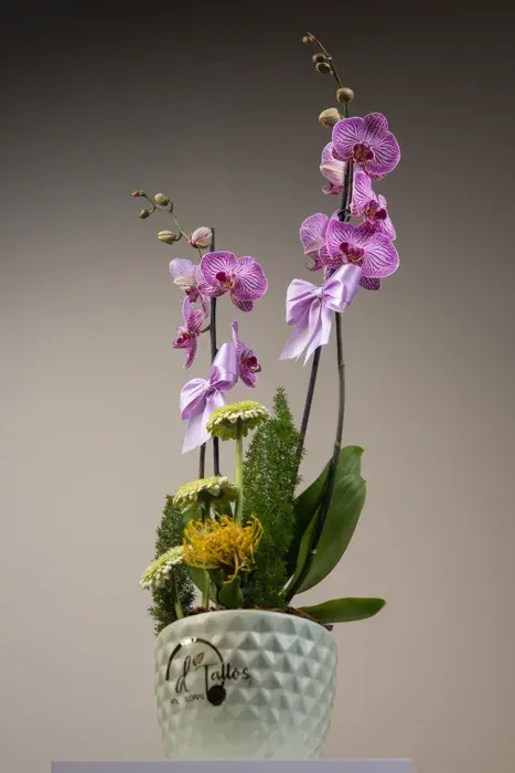 Arte floral D’Tallos