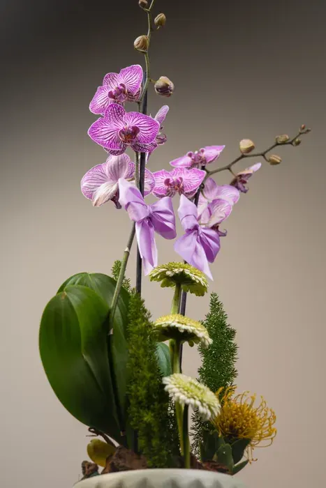 Arte floral D’Tallos