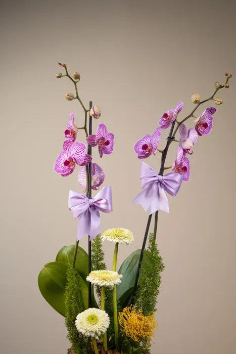 Arte floral D’Tallos