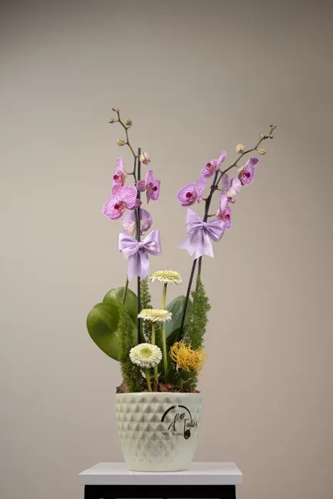Arte floral D’Tallos